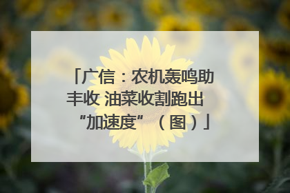 广信：农机轰鸣助丰收 油菜收割跑出“加速度”（图）