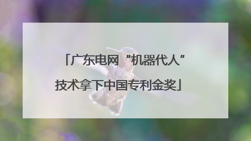 广东电网“机器代人”技术拿下中国专利金奖