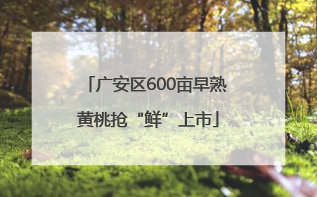 广安区600亩早熟黄桃抢“鲜”上市