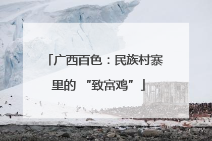 广西百色：民族村寨里的 “致富鸡”
