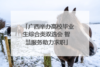 广西举办高校毕业生综合类双选会 智慧服务助力求职