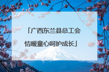 广西东兰县总工会情暖童心呵护成长