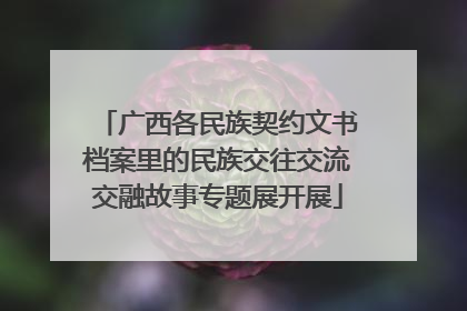 广西各民族契约文书档案里的民族交往交流交融故事专题展开展