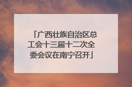 广西壮族自治区总工会十三届十二次全委会议在南宁召开
