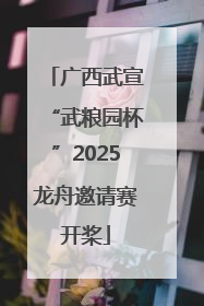 广西武宣“武粮园杯”2025龙舟邀请赛开桨
