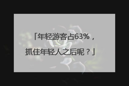 年轻游客占63%，抓住年轻人之后呢？