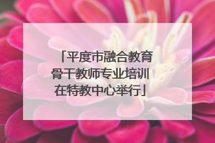 平度市融合教育骨干教师专业培训在特教中心举行