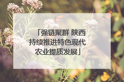 强链聚群 陕西持续推进特色现代农业提质发展