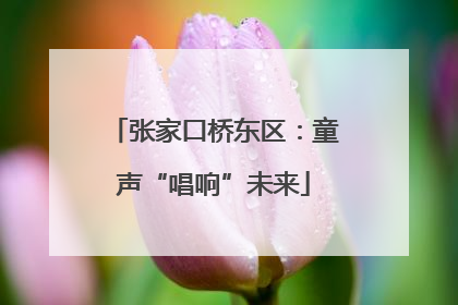 张家口桥东区：童声“唱响”未来