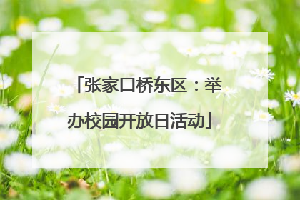张家口桥东区：举办校园开放日活动