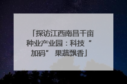 探访江西南昌千亩种业产业园：科技“加码” 果蔬飘香