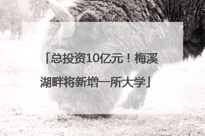 总投资10亿元！梅溪湖畔将新增一所大学