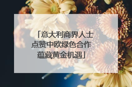 意大利商界人士点赞中欧绿色合作蕴藏黄金机遇