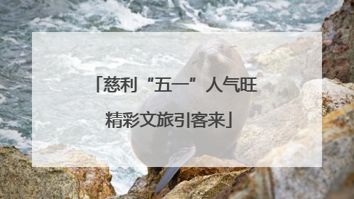 慈利“五一”人气旺 精彩文旅引客来