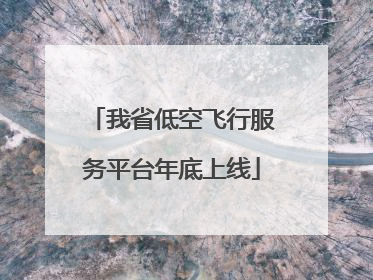 我省低空飞行服务平台年底上线