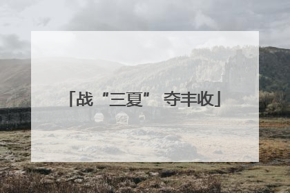 战“三夏” 夺丰收