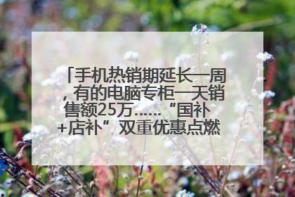手机热销期延长一周，有的电脑专柜一天销售额25万……“国补+店补”双重优惠点燃德州“考后经济”