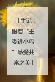 手记：跟着“主委进小岛”感受共富之美