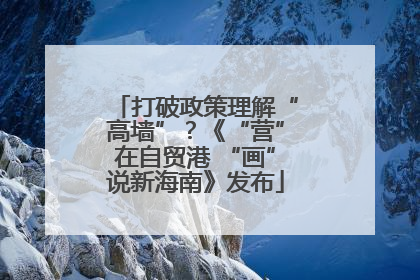 打破政策理解“高墙”？《“营”在自贸港 “画”说新海南》发布