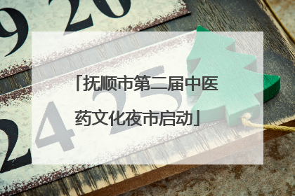 抚顺市第二届中医药文化夜市启动