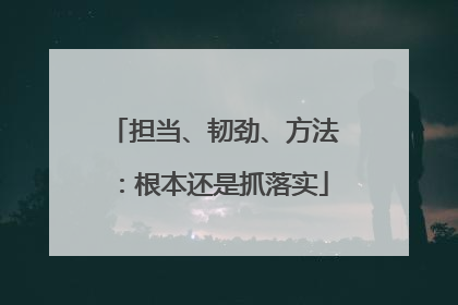 担当、韧劲、方法：根本还是抓落实
