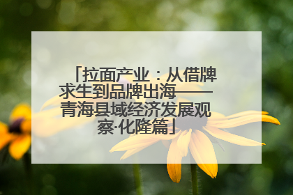 拉面产业：从借牌求生到品牌出海——青海县域经济发展观察·化隆篇