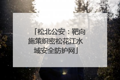 松北公安：靶向施策织密松花江水域安全防护网