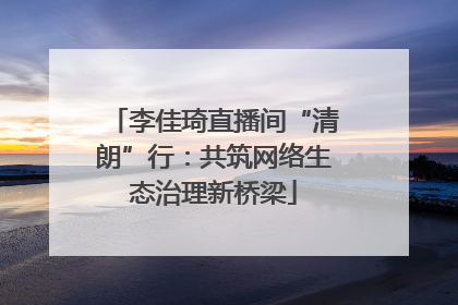 李佳琦直播间“清朗”行：共筑网络生态治理新桥梁