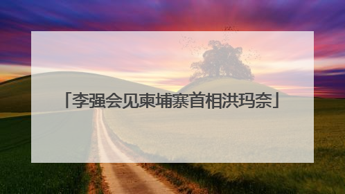 李强会见柬埔寨首相洪玛奈