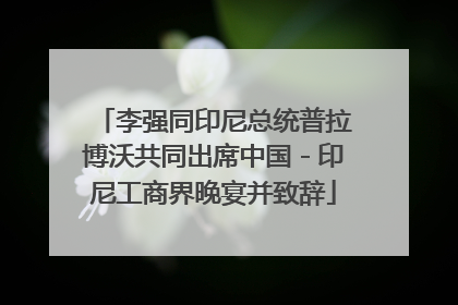 李强同印尼总统普拉博沃共同出席中国－印尼工商界晚宴并致辞