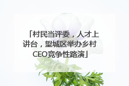 村民当评委，人才上讲台，望城区举办乡村CEO竞争性路演