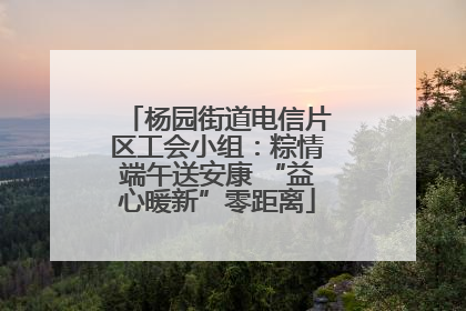 杨园街道电信片区工会小组：粽情端午送安康 “益心暖新”零距离