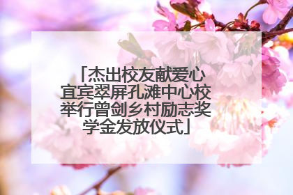 杰出校友献爱心 宜宾翠屏孔滩中心校举行曾剑乡村励志奖学金发放仪式