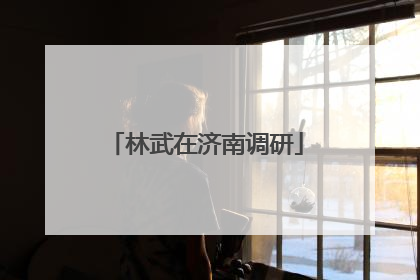 林武在济南调研
