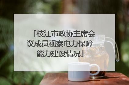 枝江市政协主席会议成员视察电力保障能力建设情况