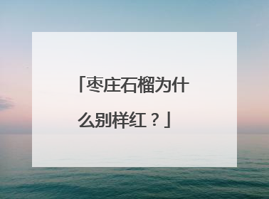枣庄石榴为什么别样红？