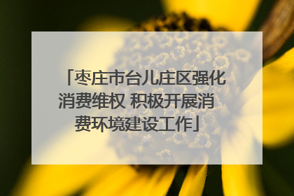 枣庄市台儿庄区强化消费维权 积极开展消费环境建设工作
