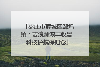 枣庄市薛城区邹坞镇：麦浪翻滚丰收景 科技护航保归仓