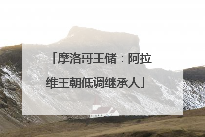 摩洛哥王储：阿拉维王朝低调继承人