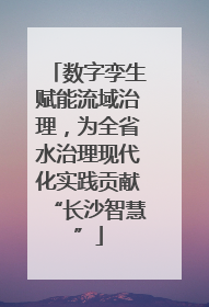 数字孪生赋能流域治理，为全省水治理现代化实践贡献“长沙智慧”