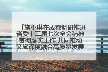 施小琳在成都调研推进省委十二届七次全会精神贯彻落实工作 共同推动文旅深度融合高质量发展 加快打造支柱产业民生产业幸福产业