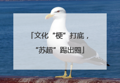 文化“梗”打底，“苏超”踢出圈