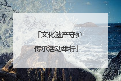 文化遗产守护传承活动举行