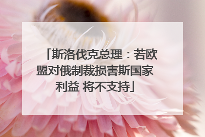 斯洛伐克总理：若欧盟对俄制裁损害斯国家利益 将不支持
