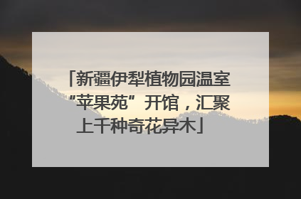 新疆伊犁植物园温室“苹果苑”开馆，汇聚上千种奇花异木