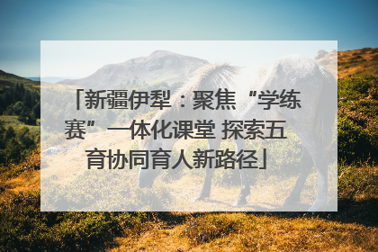 新疆伊犁：聚焦“学练赛”一体化课堂 探索五育协同育人新路径
