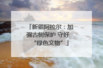 新疆阿拉尔：加强古树保护 守好“绿色文物”
