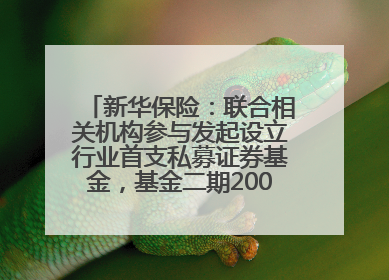 新华保险：联合相关机构参与发起设立行业首支私募证券基金，基金二期200亿元已募集完毕