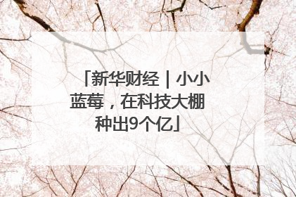 新华财经｜小小蓝莓，在科技大棚种出9个亿