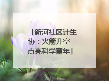 新河社区计生协：火箭升空 点亮科学童年